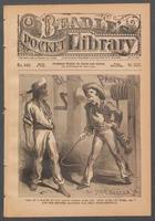 Black Panther, the half-blood, or, The slaves of the silver mines: a tale of old Arizona