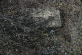 Gravestone at Lincoln Cemetery in Montgomery, Alabama.