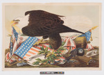 White-headed eagle with Union shield and Constitution.