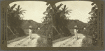 The Mail, like all burdens, is carried on the head in Jamaica.--A Jamaican mail carrier en route from a country station to Port Antonio