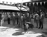 Scenes at the South Carolina Negro State Fair