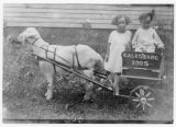 Children in a cart