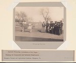 Thumbnail for Races, Negroes: United States. Virginia. Hampton. Hampton Normal and Industrial School: Agencies Promoting Assimilation of the Negro: Training for Commercial and Industrial Employment. Hampton Normal and Agricultural Institute, Hampton, Va.: Studying the Cow.