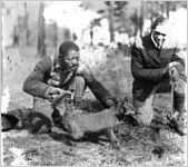 African American men releasing a fox for the hunt, Georgia, 1931