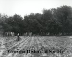 Hermitage Plantation; field laborers