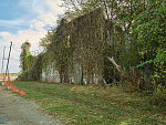 Long-closed and now vine-covered site of Bryant's Grocery in the crossroads community of Money, Mississippi