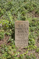 Frierson-Voorhies Cemetery: Pointer tombstone