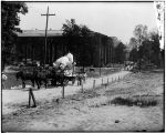 Thumbnail for "Captive bull" sculpture on route to main Cascade