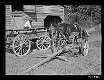 [Untitled photo, possibly related to: Negro helper with wagon in front of J.V. Harris' barn, nine miles south of Chapel Hill on Highway 15. Chatham County, North Carolina]