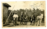 Two men holding five horses