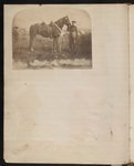 [Union teamster or hostler with horse, probably with the 2nd Vermont Infantry Regiment at Camp Griffin, Langley, Virginia]