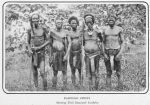 Thumbnail for Barnego chiefs; showing their emaciated condition