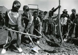 Planting a tree at Thoreau School