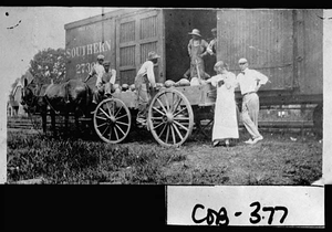 Photograph of watermelons being loaded, Austell, Cobb County, Georgia, 1915