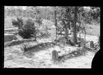 Scene in Magnolia (colored) cemetery, Aiken, S.C.