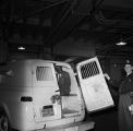 Fred Shuttlesworth in the back of a police vehicle after being arrested.