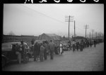 [Untitled photo, possibly related to: Day laborers being hired for cotton picking on Mississippi and Arkansas plantations. Between four and six-thirty every morning during the season, near the Hallan Bridge in Memphis, Tennessee, crowds of Negroes in the streets gather and are loaded into trucks by drivers who bid, and offer them anywhere from fifty cents to one dollar per day]