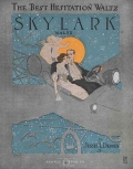 Thumbnail for Skylark waltz by Jessie L. Deppen