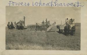 Photograph of Wheat Harvesting