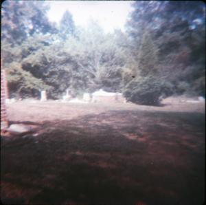 Cemetery in Harrison County