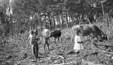 Children of Albert Griffin in a cane field in Wilcox County, Alabama.