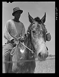 [Untitled photo, possibly related to: Negro cowhand in the Black Prairie region. Hale County, Alabama]