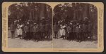 Little tea pickers, who sang for President Roosevelt - Pinehurst Tea Farm, Summerville, S.C.