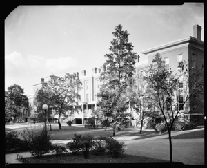 Row of town houses : cellulose acetate photonegative