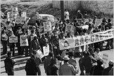 Martin Luther King, Jr. Birthday Observance