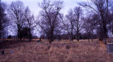 Golden Hill Cemetery: graves on hill