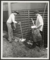 Thumbnail for Washington Park (0021) Activities - Junior laborers, 1975-07-18