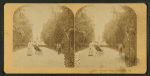 Forsyth Park, Savannah, Ga. [View of an African-American woman with a baby carriage.]