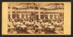 Thumbnail for The large dining room