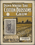 Down where the cotton blossoms grow