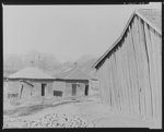 Negro houses. Tupelo, Mississippi