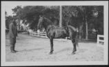 Unidentified Man with "Bones" the Horse