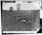 [Antietam, Md. Bodies of Confederate dead gathered for burial]