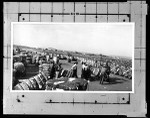 African-American men moving bales of cotton in an unidentified location, 1920-1930