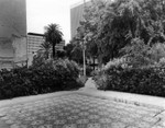 Ambassador Hotel, Huerta Bungalow, facing northwest