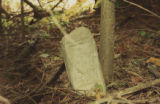 Durham's Chapel School: grave marker