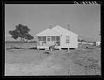 [Untitled photo, possibly related to: Cow and new home of Cube Walker, Negro tenant purchase client. Belzoni, Mississippi Delta, Mississippi]