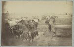 [Camp of the Union forces at Centreville, Va. Winter 1861-62]