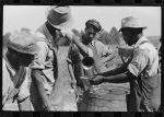 A portable cane mill. The owner gets every sixth gallon for making the sorghum syrup. This is on the property of a Negro owner, Wess Cris, a tobacco farm of about 165 acres in a prosperous Negro settlement near Carr, Orange County, North Carolina. They are straining it into a barrel, measured by a gallon can