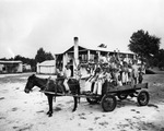 ride in a mule-drawn cart at the Lewis Plantation and Turpentine Still on US 41