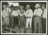 Auction of English peas in Lake City, S.C.