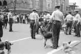 Thumbnail for Walter Gadsden, a student at Parker High School, after being attacked by police dogs during a civil rights demonstration in downtown Birmingham, Alabama.