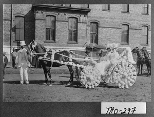 Photograph of women in Parade float drawn by horse, Thomas County, Georgia