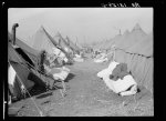 Tents in the flood refugee camp for Negroes from the bottom land at  Forrest City, Arkansas