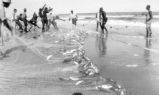 Men With Fishing Nets