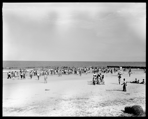 Segregated African American area, Hunting Island State Park, South Carolina